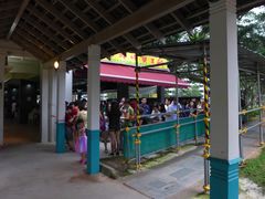 -龙海鲜螃蟹王(宏茂桥店)