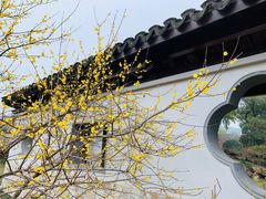 -无锡梅园公园