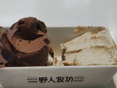 -野人牧坊Gelato(天津南开大悦城店)