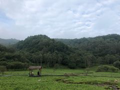 -大水川景区