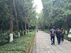 -灵谷景区