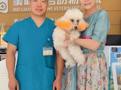 -美联众合动物医院·24h京西诊疗中心