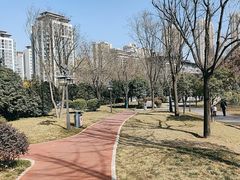 -木塔寺遗址生态公园