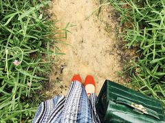 -艾溪湖湿地公园