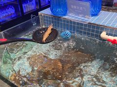 水产区-小天鹅戴斯酒店鲸鲨百汇创作料理
