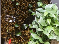 -邈墨茶馆(凤起路店)