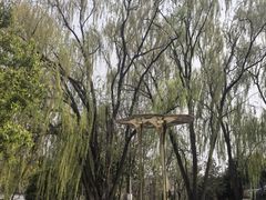 -成飞公园