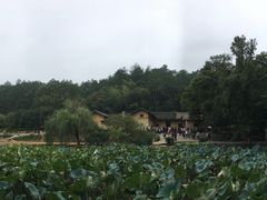 -韶山毛泽东同志故居