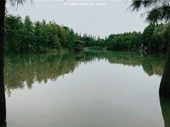 -上海长兴岛郊野公园