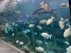 -波塞冬旅游度假区