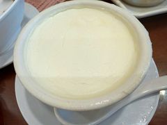 南信双皮奶-南信牛奶甜品专家