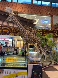 -卡通尼·Safari非洲探索乐园·生日会(金桥国际商业广场店)