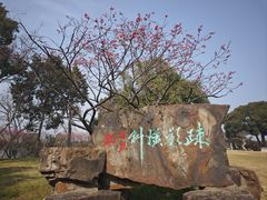 -无锡梅园公园