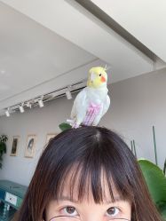 -一个差评成就的纹眉店