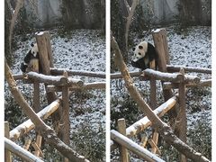 -红山森林动物园