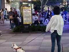 -瑞虹新天地月亮湾