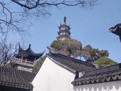 -苏州上方山国家森林公园