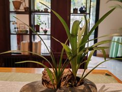 -拂晓山房·私房川菜(西门店)