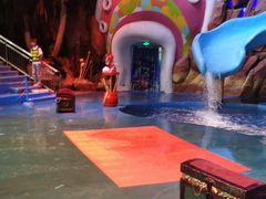 -烟台海昌鲸鲨海洋公园