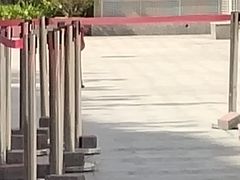 -天津大学附属中学
