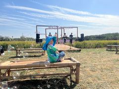 -武汉紫薇都市田园