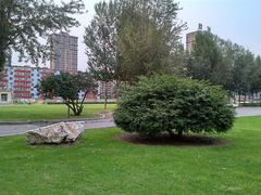 android_upload_pic-辽宁大学(崇山校区)