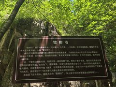 -九龙潭景区