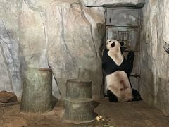-深圳野生动物园