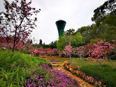 -狐尾山公园