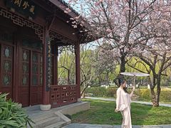 -堤角公园