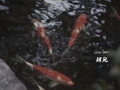 -鲤院·新中式美学·庭院餐厅(夫子庙店)