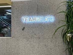 -野人先生现做冰淇淋(北京环宇荟店)