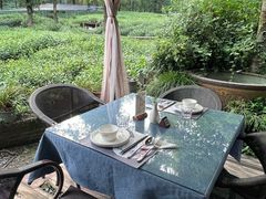 -野蔓果·山野菜(西湖景区·龙井茶田店)