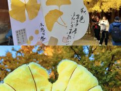 -承恩寺
