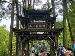 -青城山