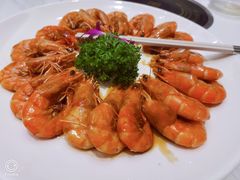 -国惠大酒楼(宝龙店)