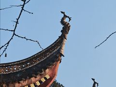 -佛荫寺