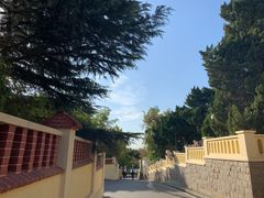-八大关景区