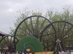 -呀路古热带植物园