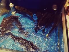 -姜君·千岛湖鱼头馆(浦东大道店)