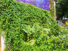 -糖果时光文创产业园