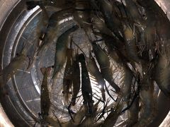 -东漖肉菜综合市场