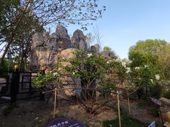-太阳宫公园