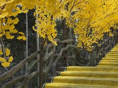 -石燕湖生态旅游景区