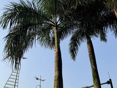 -南宁南湖公园