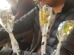 -松声马术俱乐部