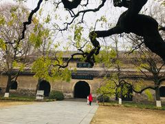 -灵谷景区