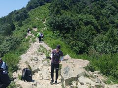 -北京鹫峰国家森林公园