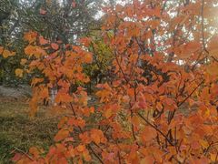 -元大都城垣遗址公园