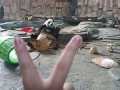 -泉州海丝野生动物世界